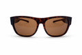 See Clear BA2831B Overspecs